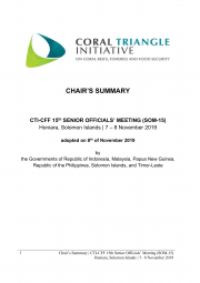 SOM-15 Chair's Summary