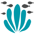 Over 3000 species of reef fish