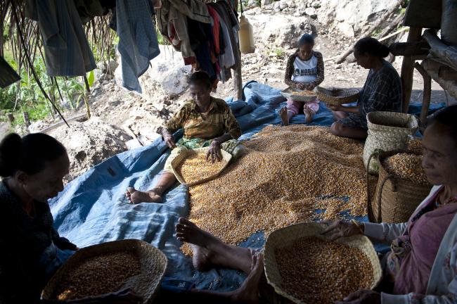  Timor Leste NKS Com TRead