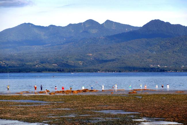 A line of fishermen at Gili @WCS