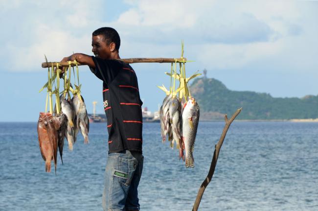 Fish seller Dili