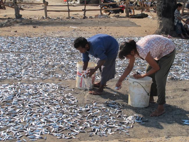 Fishermen of Savu Sea @ Alexander Tanody, TNC_0