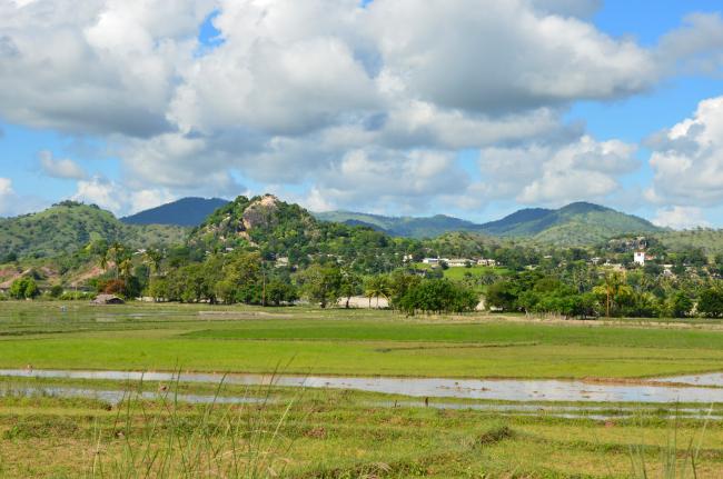 Landscape