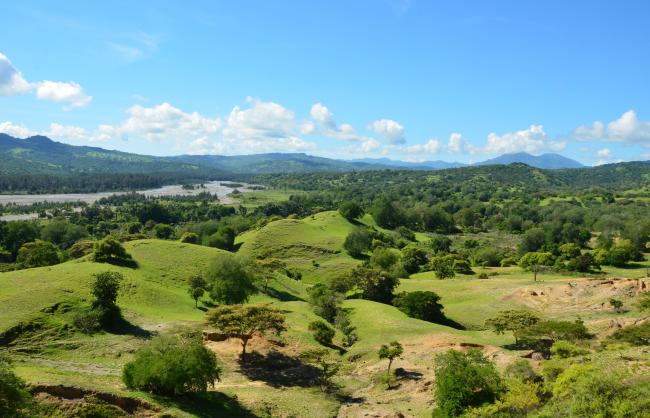 Landscape