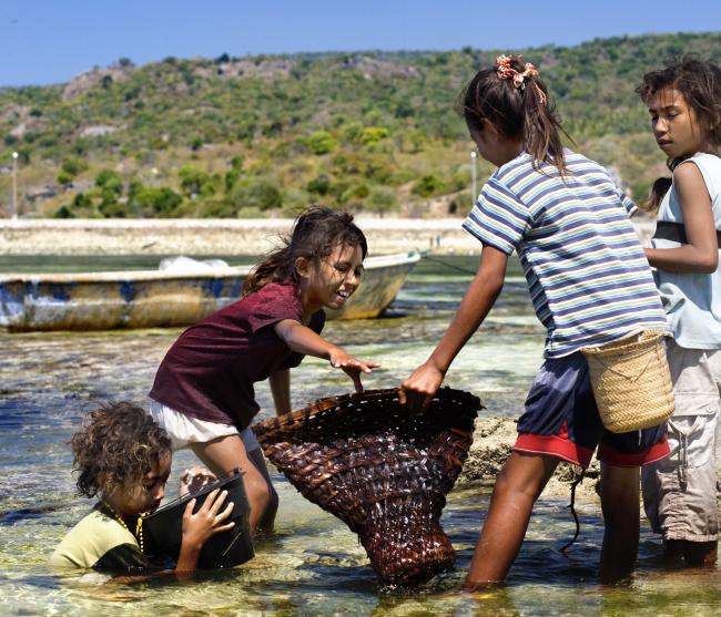 Timor Lest M Abbott